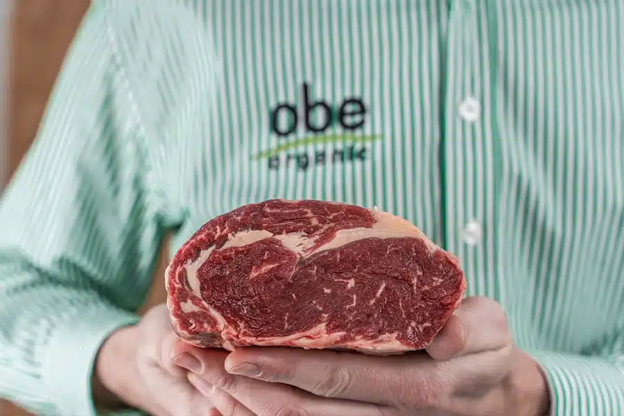 Organic Beef Exporter in Australia