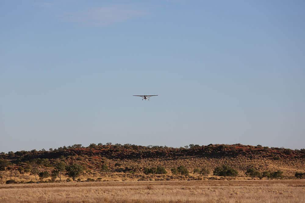 Anthony in his Cessna searching for cattle - Image by Fiona Lake