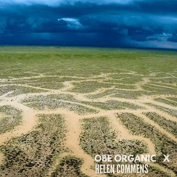Aerial image of green outback floodplain with water channels.