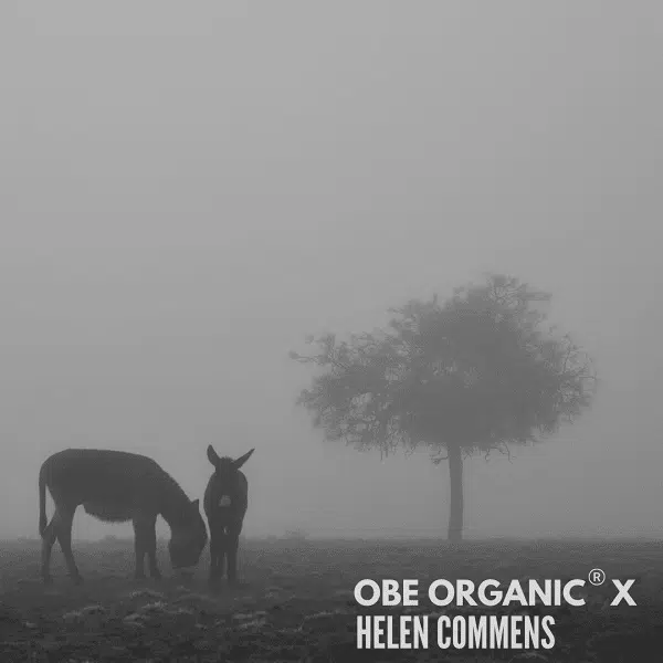 Two donkeys silhouetted in a foggy outback landscape, presented in black and white.
