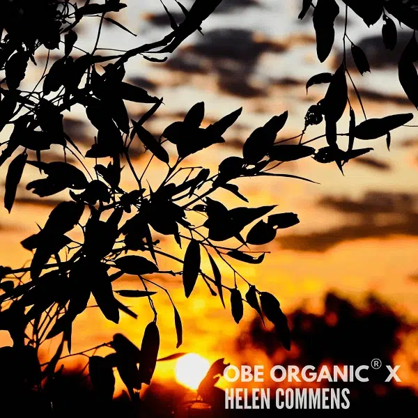 ilhouette of tree branches and leaves against a golden sunset.