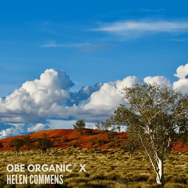 Bright blue sky over a red-earth landscape with trees and low shrubs.