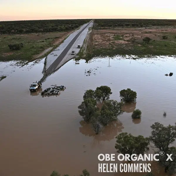 Aerial view of flooded land with a submerged road and trees.