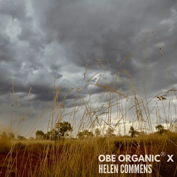 Grassy field under a dark, stormy sky with clouds building.