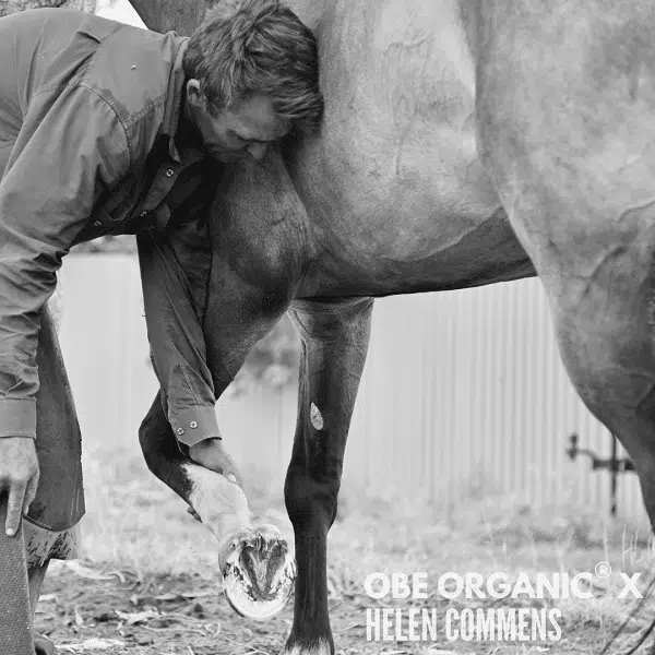 lack-and-white photo of a person working on a horse’s hoof.