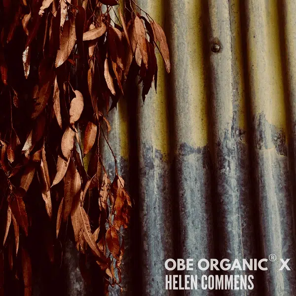 Rusted corrugated iron wall with dried gum leaves hanging in front.