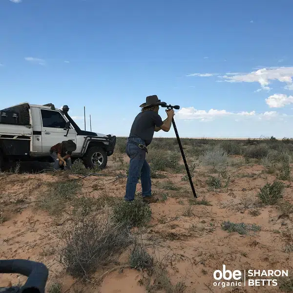 Building A Boundary Fence – Mulka # Of