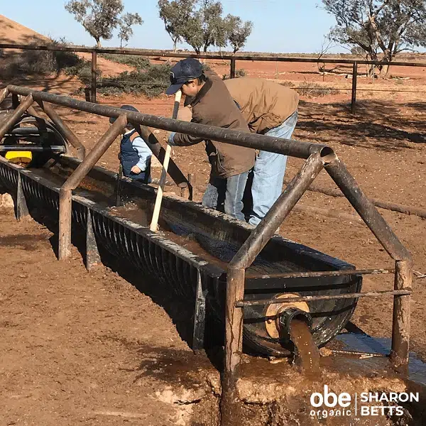 Trough Cleaning - Epsilon | OBE Organic
