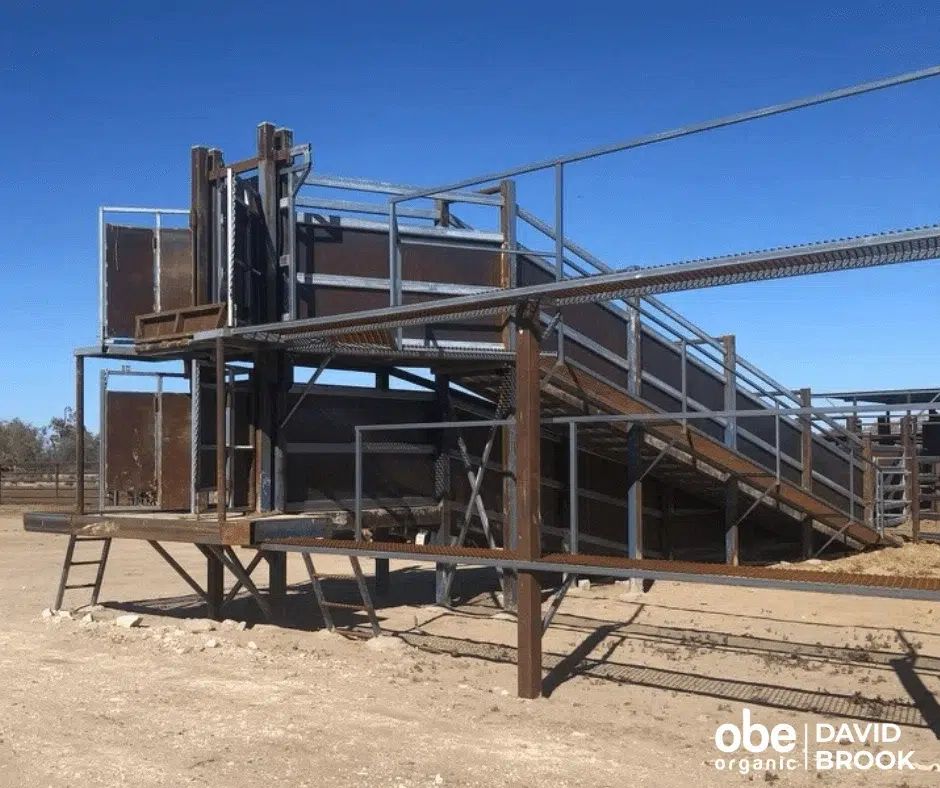 Organic Ramp Round The Double Ramp | OBE Organic