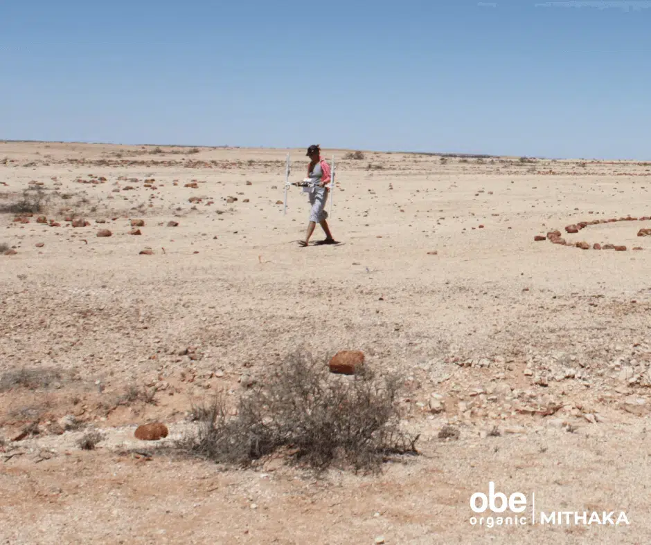 Dr Kelsey Lowe in the open desert field