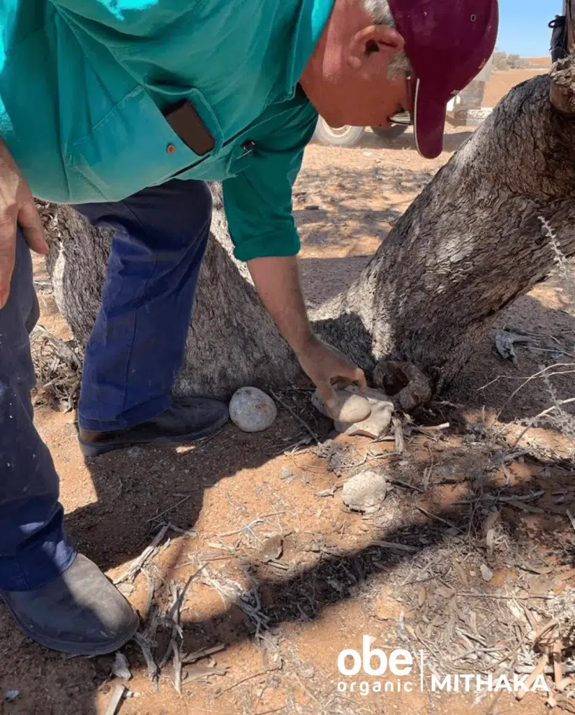 Keeping Stone Artefacts Safe