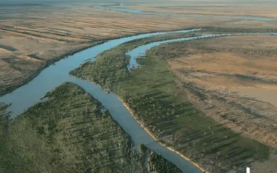 关于保护昆士兰州艾尔湖盆地河流和洪泛平原的立场声明