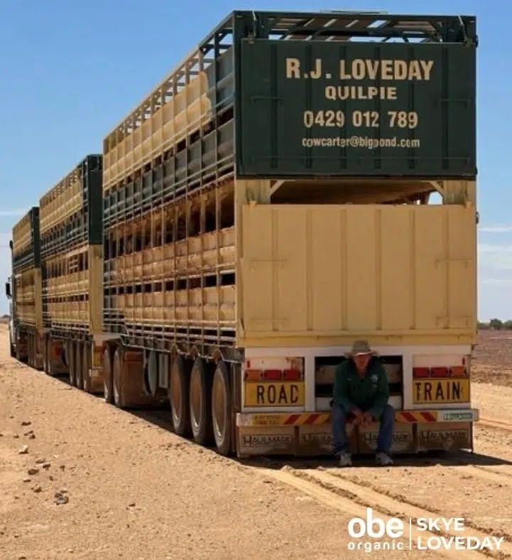 Man sitting on the rear bumper of a large livestock road train parked on a dusty outback road in Australia.