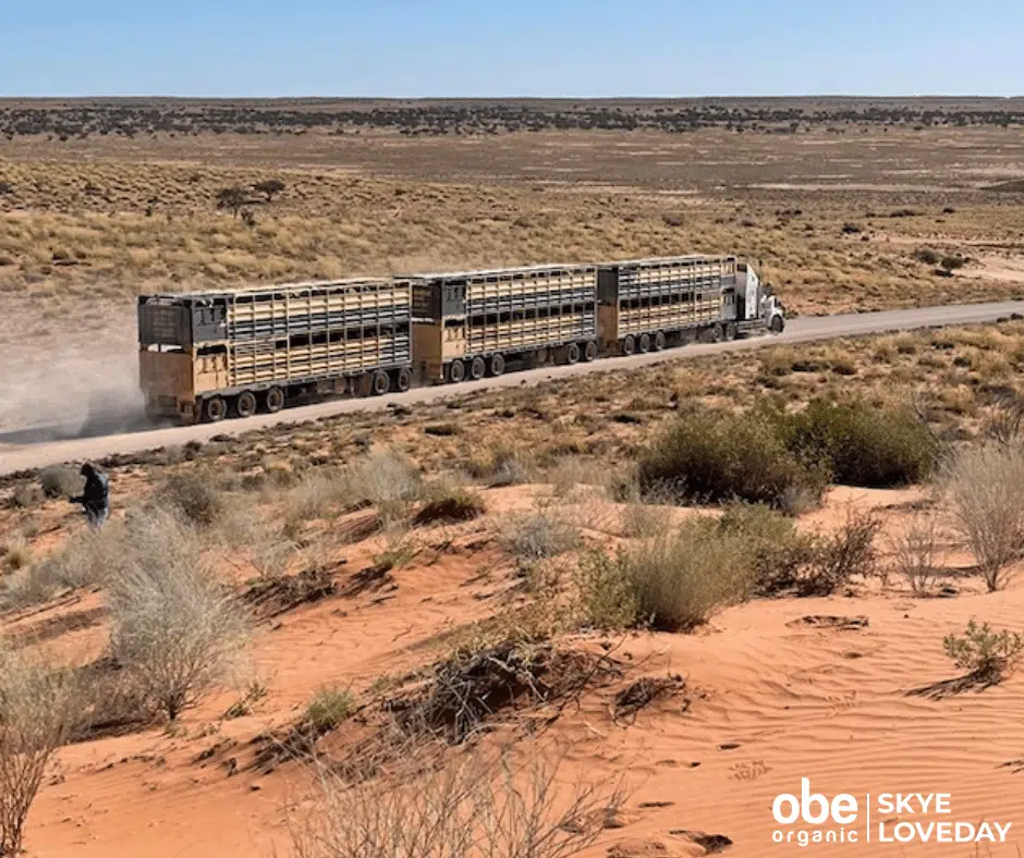 Running empty into Adria Downs