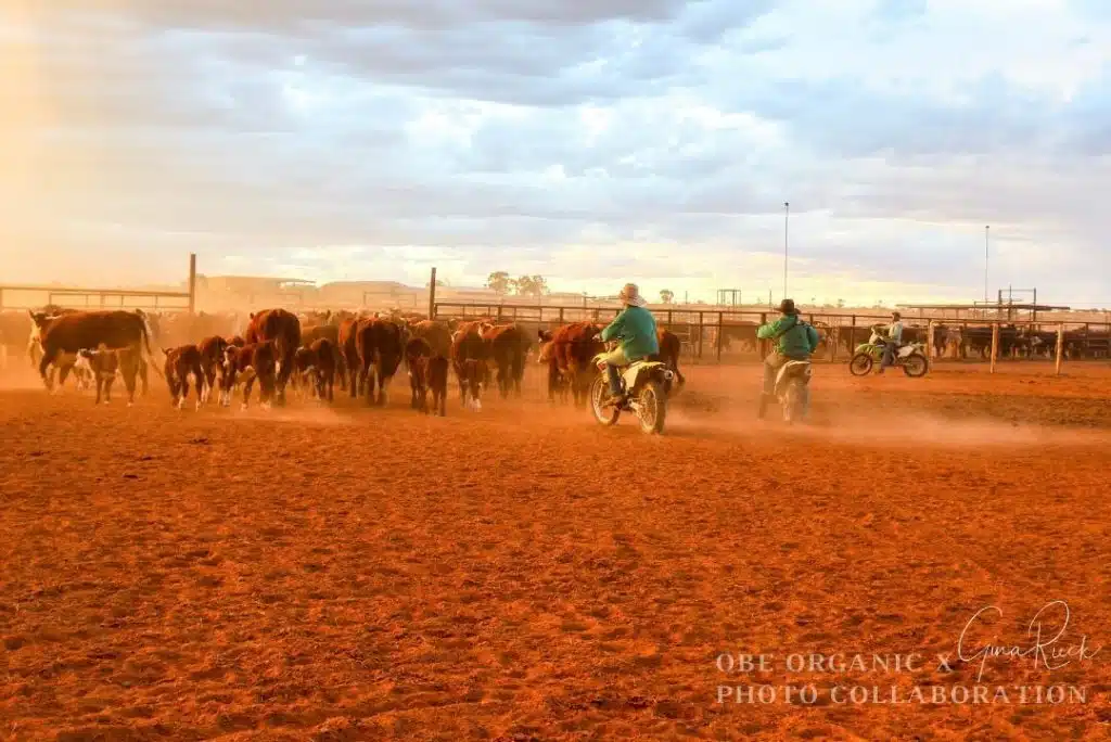 Dessert Almost There X