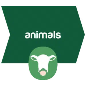 OBE Flourish Pillar Animals X