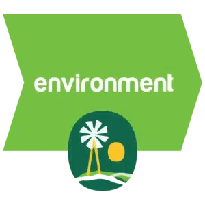 OBE Flourish Pillar Environment X