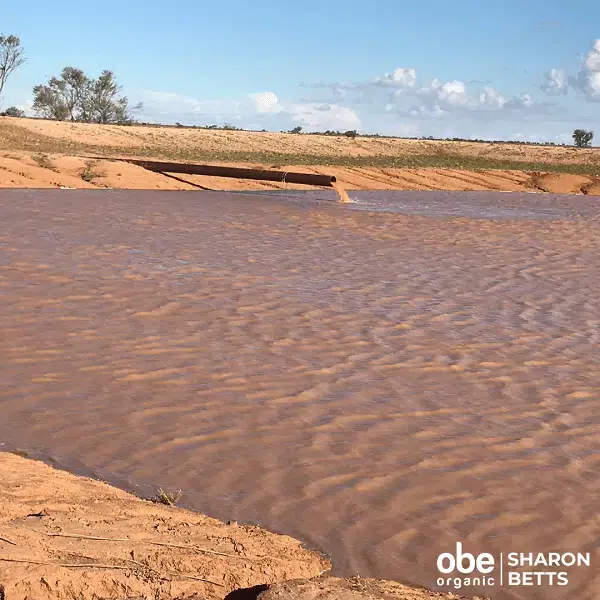 Luke’s Dam #1 of 5