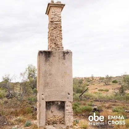 OBE Organic Annandale Ruins