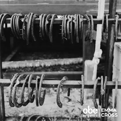 OBE Organic Horseshoes Are Lucky