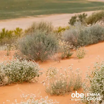 OBE Organic I Think I Like Wildflowers Best