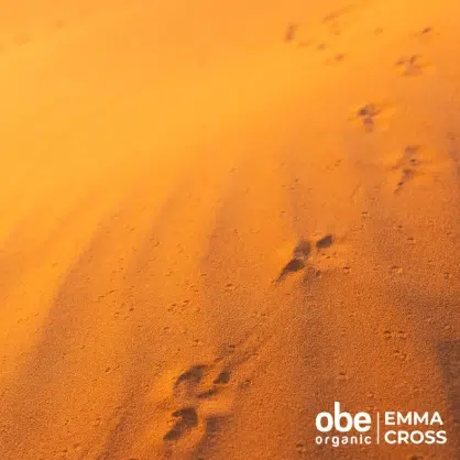 OBE Organic The Desert